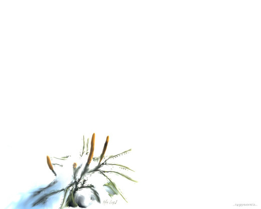 383070 (a): :1280x1024